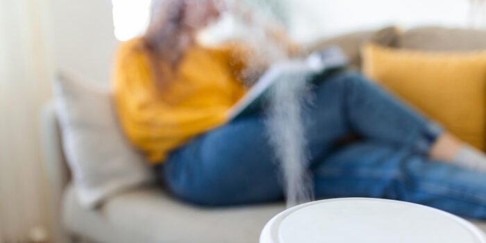 Kaip pagerinti namų mikroklimatą: kada reikalingas oro sausintuvas, o kada oro valytuvas?